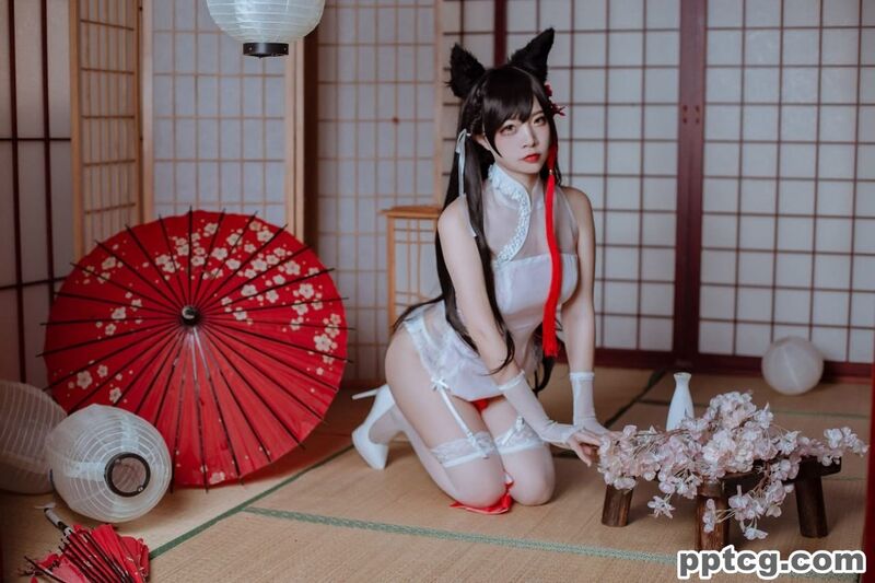 二佐Nisa   犬之眷 碧蓝航线 爱宕 旗袍