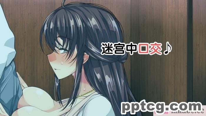 [なのかH] 実況!NTR家族旅行 家族にばれずにセックスできたら100万円 [不咕鸟汉化组][345P]