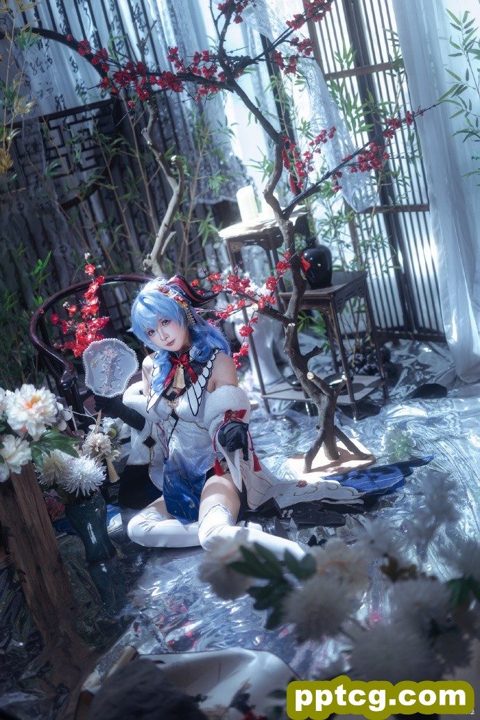 雪中红梅