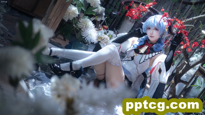 雪中红梅