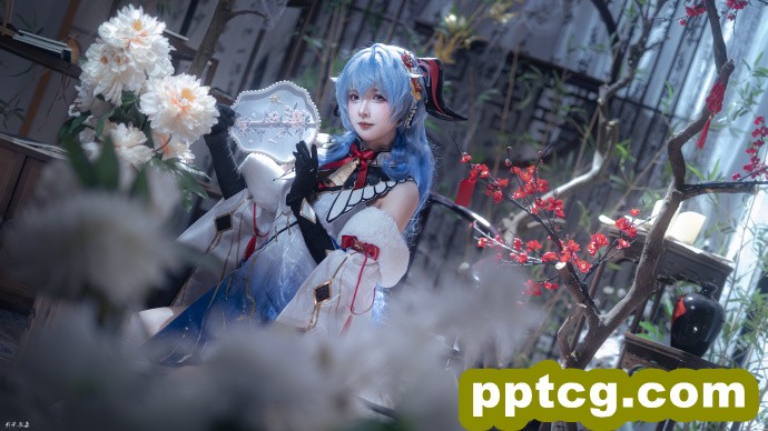 雪中红梅