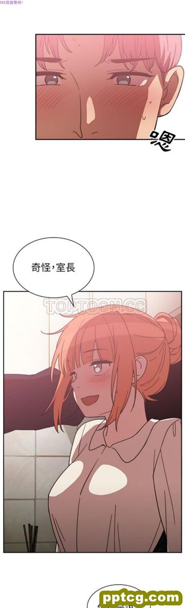 第38话_邻家三姐妹