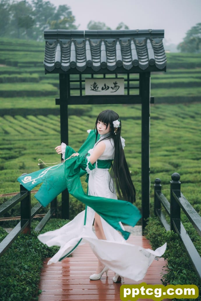 青衫烟雨客 ，似是故人来