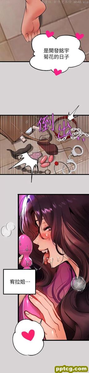 第35话 今天是开发菊花的日子_富家女姐姐
