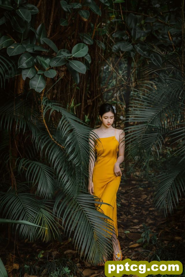 年年 – 蒹葭